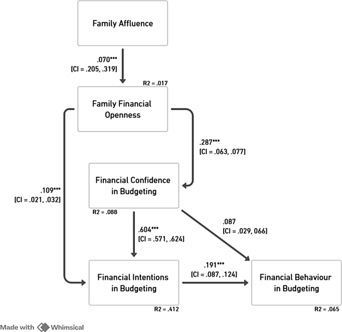 Family Financial Socialisation and its Impact on Financial Confidence ...