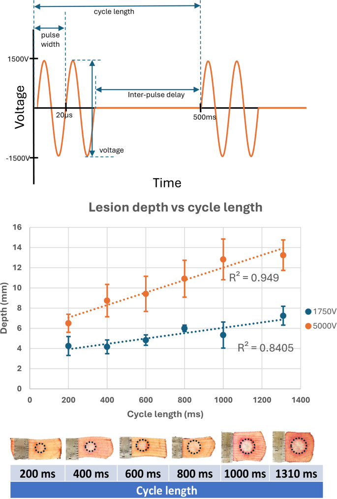 Evaluation of variable inter-pulse delay and timing on pulsed field ...