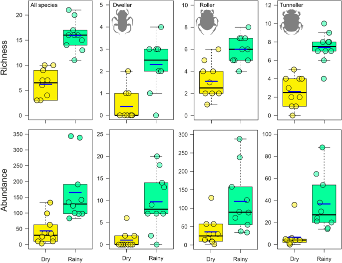 Rainfall seasonality drives the spatiotemporal patterns of dung beetles in  Amazonian forests in the arc of deforestation | SpringerLink