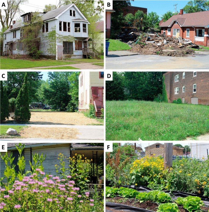 Metals could challenge pollinator conservation in legacy cities |  SpringerLink