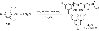 scheme 5