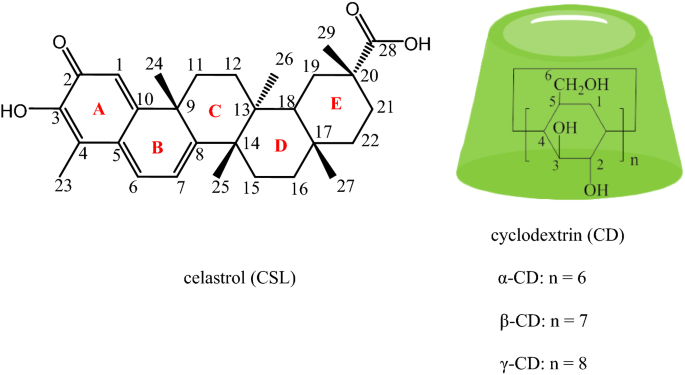 Preparation Characterization And Cytotoxic Evaluation Of Inclusion Complexes Between Celastrol With Polyamine Modified B Cyclodextrins Springerlink