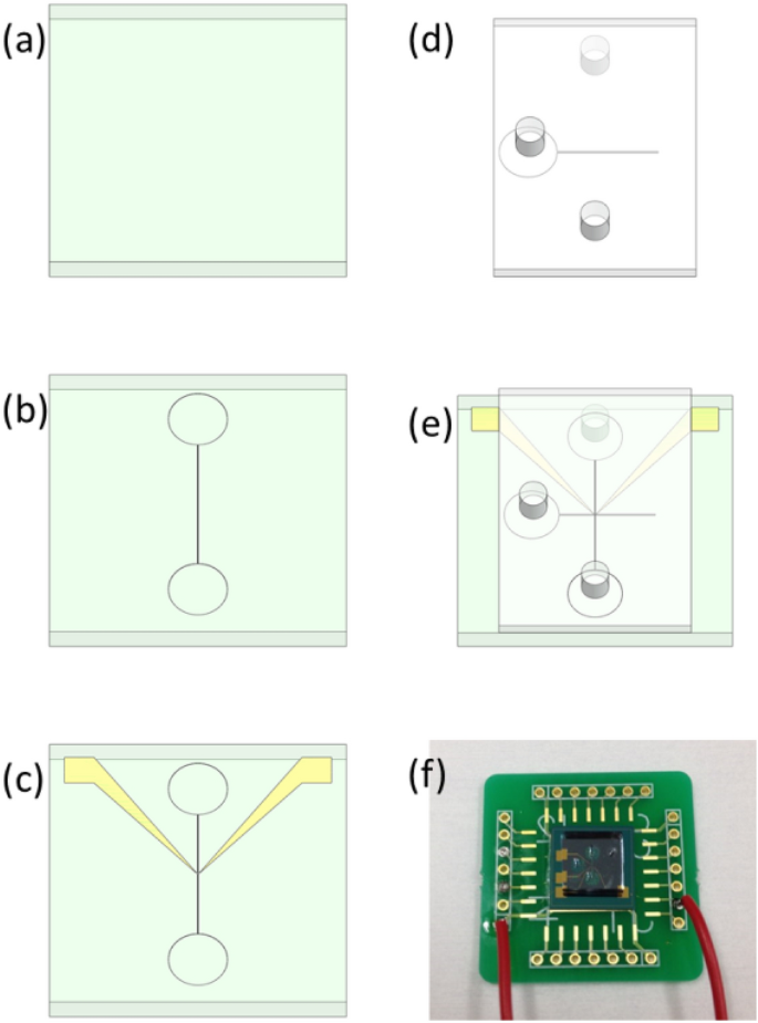 Electrochemical Sensor For Determination Of Aging State At Single Cell Level Under Different Pressures Of Cell Capturing Springerlink