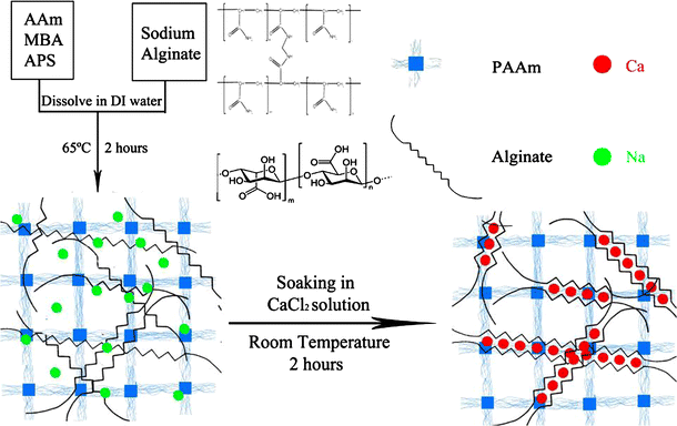 scheme 1