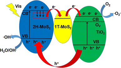 figure 8