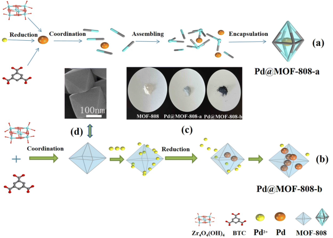 Frontiers - Increasing Exposed Metal Site Accessibility in a Co-MOF-74  Material With Induced Structure-Defects - Materials