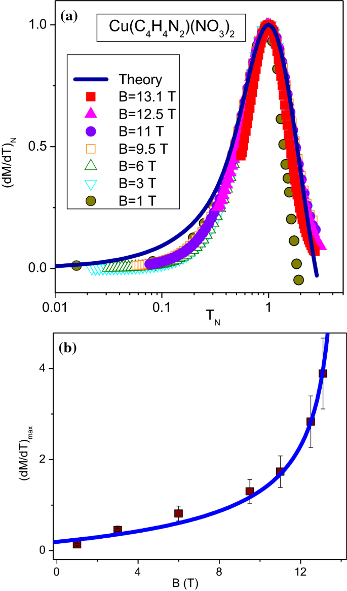 Spin liquids in frustrated magnets