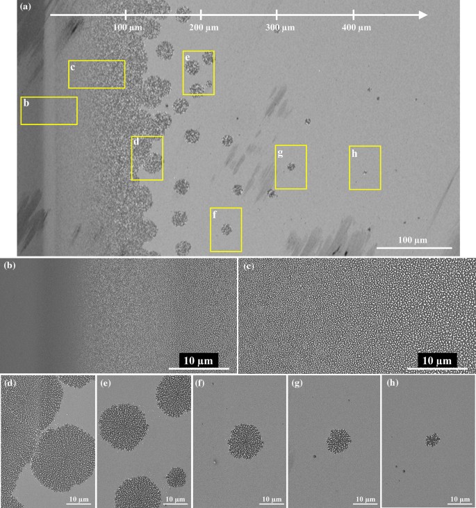 The formation of hillock with lateral grain growth: (a) vertical