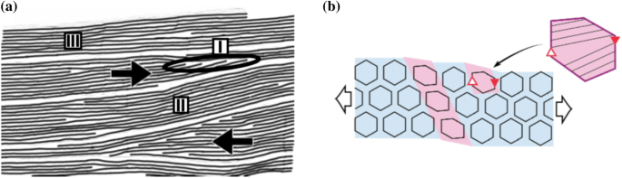 figure 24