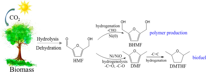 Bi-Metal-Supported Activated Carbon Monolith Catalysts for Selective  Hydrogenation of Furfural