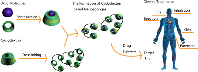 Toward improvements for carrying capacity of the cyclodextrin-based nanosponges: recent progress from a material and drug delivery | Journal of Materials Science