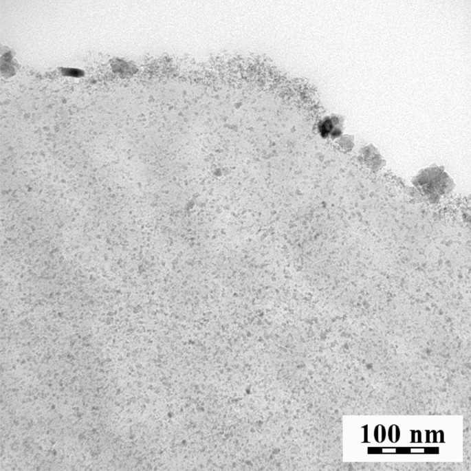 capture of dnas by magnetic