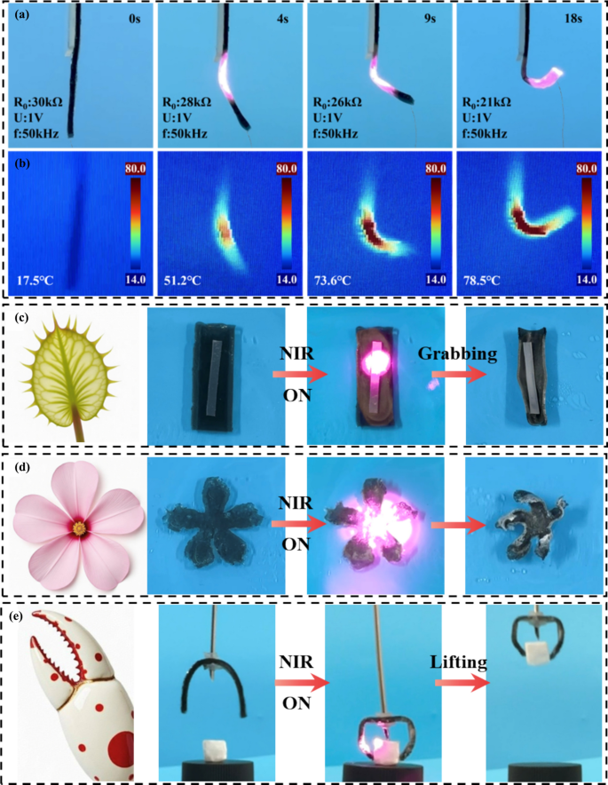 Highly stretchable and conductive MXene integrated anisotropic ...