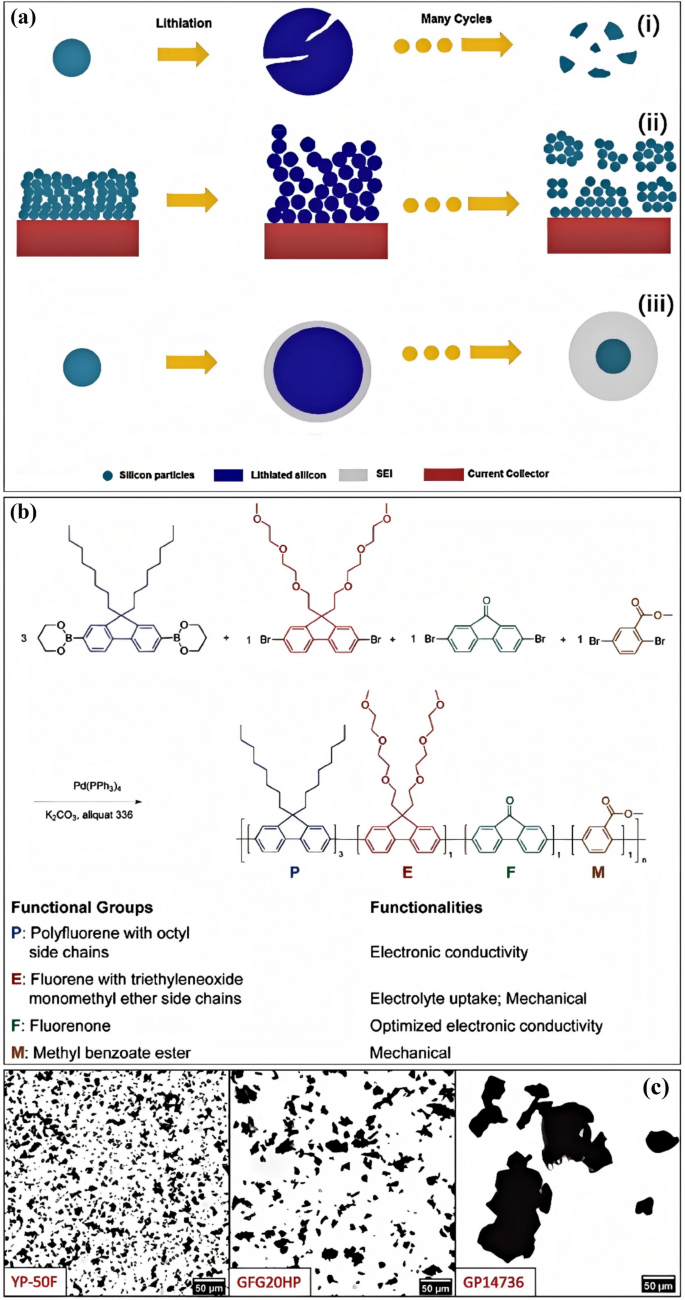 Koel Mallick Movies and TV Shows - Plex, image size:685x1300