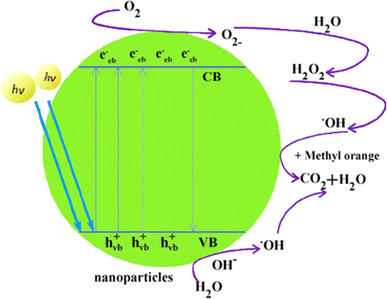 scheme 1