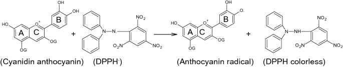 scheme 6