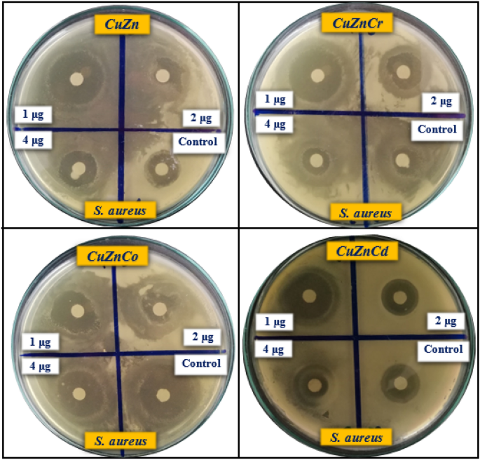 figure 12