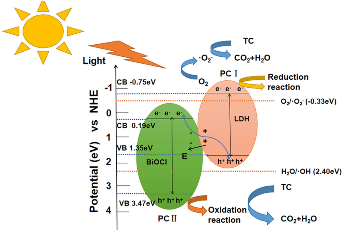 Z-scheme CoAl-layered double hydroxide/indium vanadate heterojunction for  enhanced and highly selective photocatalytic reduction of carbon dioxide to  carbon monoxide - ScienceDirect