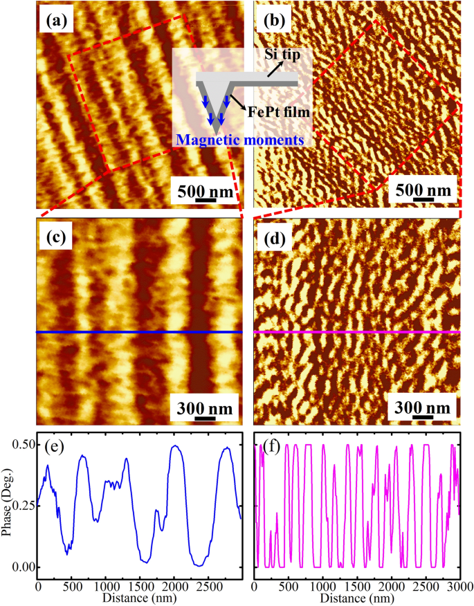 Microstructure and magnetic properties of FePt thin films for the ...