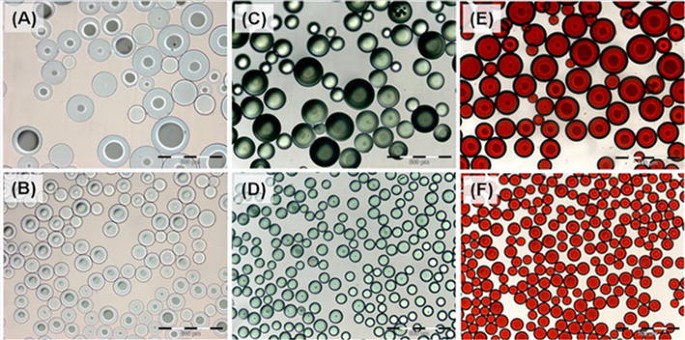 DC BeadM1™: towards an optimal transcatheter hepatic tumour therapy |  Journal of Materials Science: Materials in Medicine