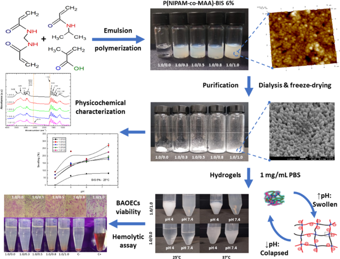 Synthesis and Characterization of Novel pH-Responsive Microgels