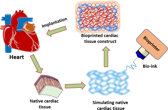 bioprinting of cardiac tissue: current and | SpringerLink