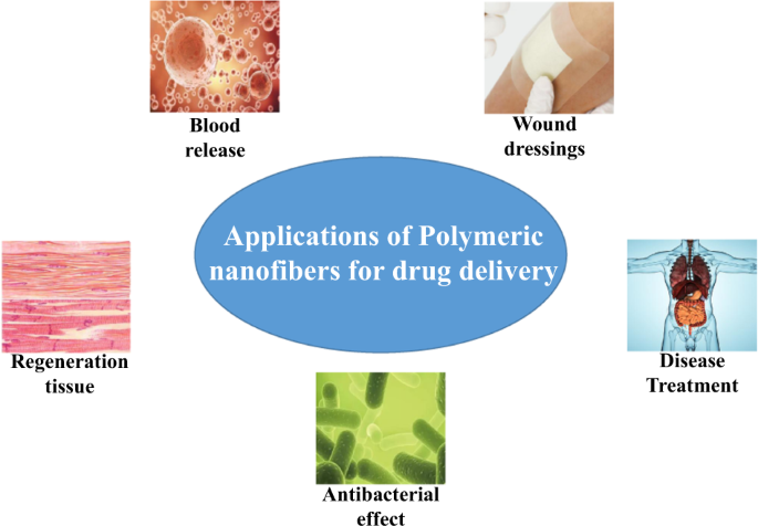 Polymeric Nanofibers for Drug Delivery Applications: A Recent Review |  SpringerLink