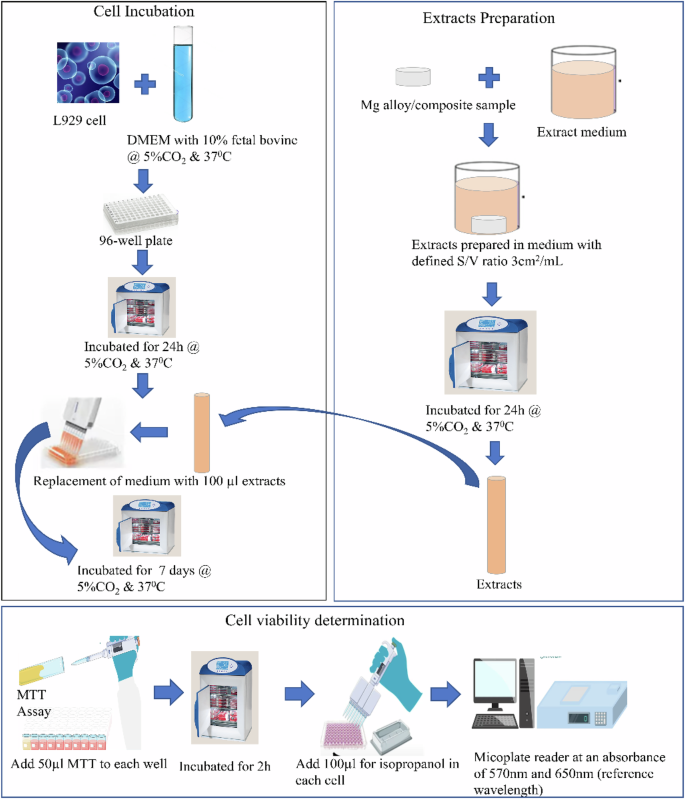 glutathione and losartan Glutathione system enhancement for cardiac protection: pharmacological  options against oxidative stress and ferroptosis