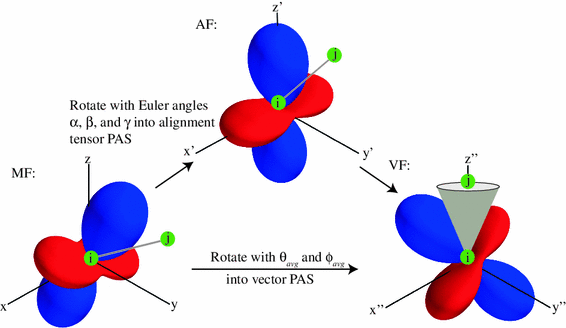 Orium Optimized Rdc Based Iterative And Unified Model Free Analysis Springerlink