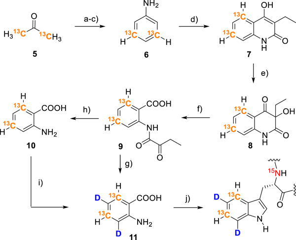 scheme 4