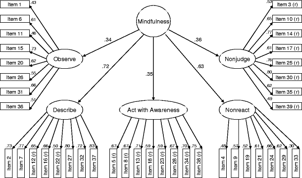 The Italian Five Facet Mindfulness Questionnaire: A Contribution 