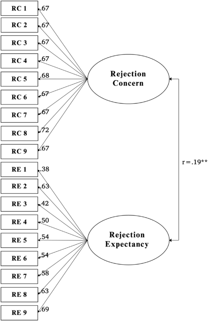Adult Rejection Sensitivity Questionnaire: Psychometric Properties and ...