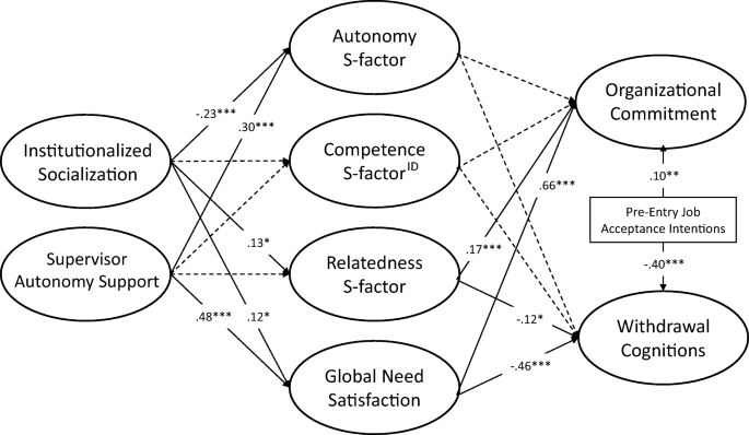 Satisfying Newcomers Needs The Role Of Socialization Tactics And Supervisor Autonomy Support Springerlink
