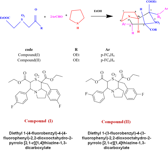 Hydrogen Bonding Interactions in the Supramolecular Assembly of ...