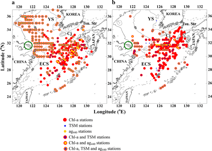 Empirical Ocean Color Algorithms To Retrieve Chlorophyll A Total Suspended Matter And Colored Dissolved Organic Matter Absorption Coefficient In The Yellow And East China Seas Springerlink