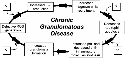 Inflammatory Manifestations in Chronic Granulomatous Disease (CGD) | Journal of Clinical Immunology