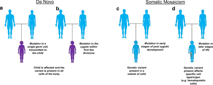 Genetic Mosaicism as a Cause of Inborn Errors of Immunity | SpringerLink