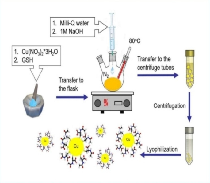 copper glutathione PDF] The Role of Copper Chaperone Atox1 in Coupling Redox Homeostasis to  Intracellular Copper Distribution main image 0