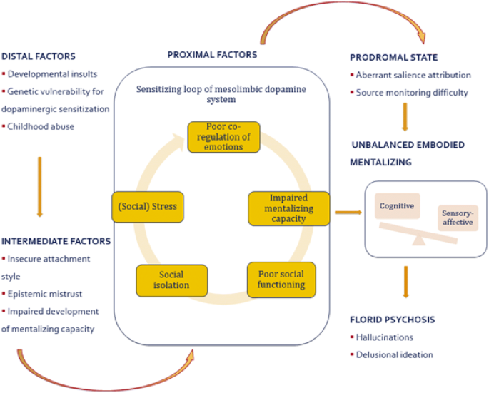 Hvad er der galt præst champignon Mentalization and Psychosis: A Rationale for the Use of Mentalization  Theory to Understand and Treat Non-affective Psychotic Disorder |  SpringerLink