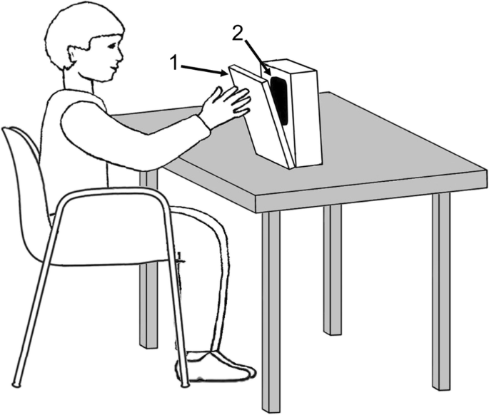 Self Regulated Versus Staff Regulated Stimulation For Promoting