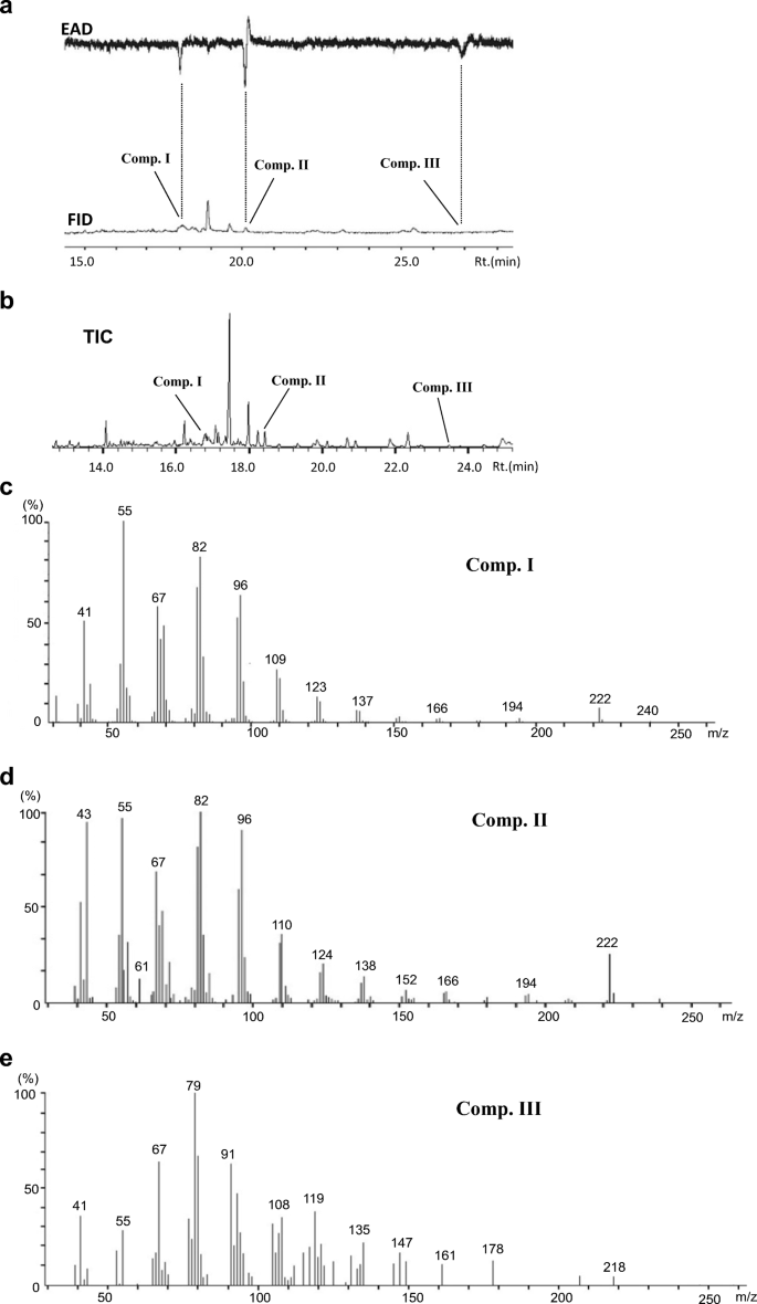 sex in the pillary Identification and Field Evaluation of the Sex Pheromone of Orthaga  achatina (Lepidoptera: Pyralidae) | Journal of Chemical Ecology