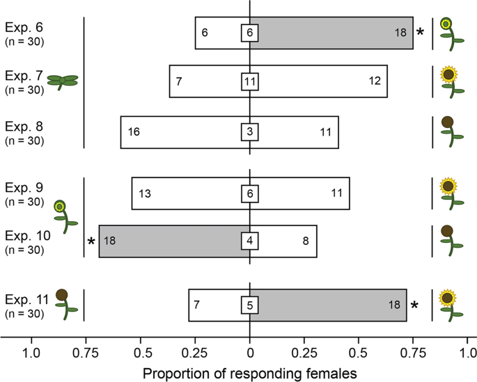 Attraction Of Brown Marmorated Stink Bugs Halyomorpha Halys To Blooming Sunflower Semiochemicals Springerlink Attraction Of Brown Marmorated Stink Bugs Halyomorpha Halys To Blooming Sunflower Semiochemicals Springerlink