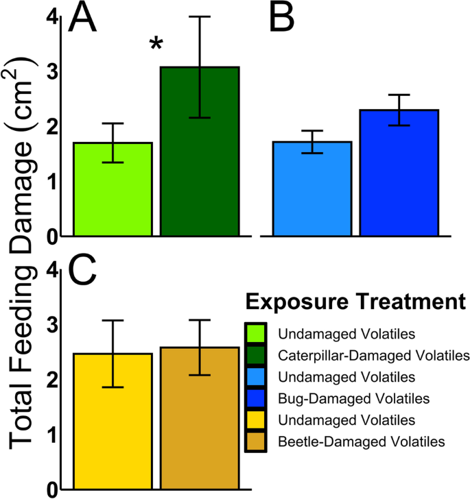 Defense Suppression Through Interplant Communication Depends On The Attacking Herbivore Species Springerlink