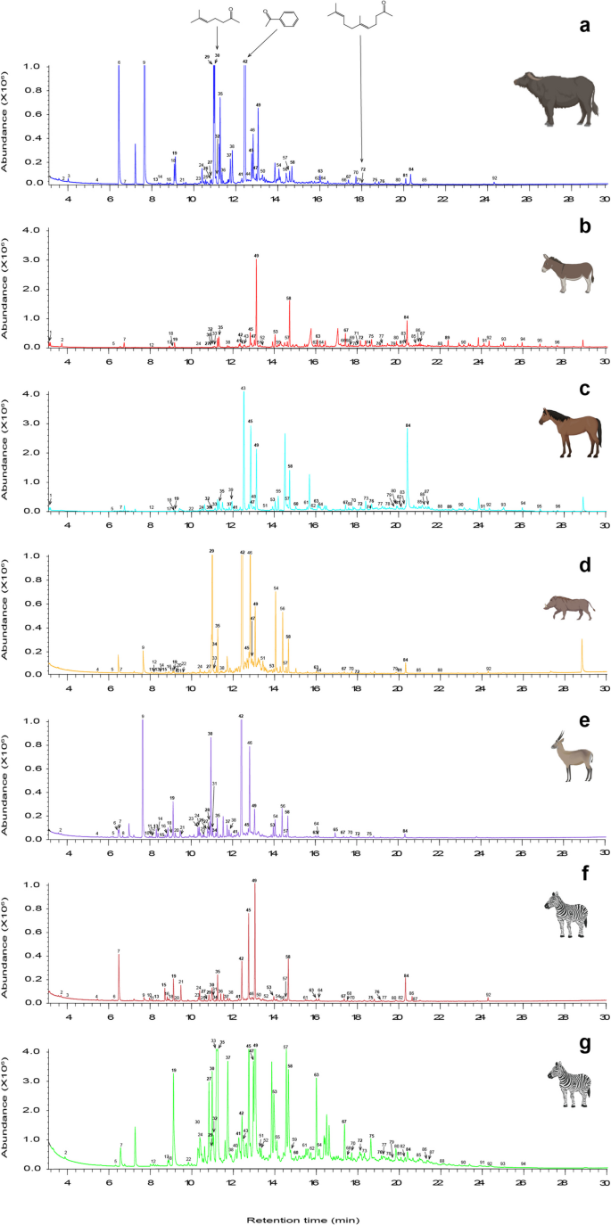 Machine Learning Predicts Non-Preferred and Preferred Vertebrate Hosts of  Tsetse Flies (Glossina spp.) Based on Skin Volatile Emission Profiles |  Journal of Chemical Ecology | Springer Nature Link