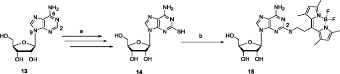 scheme 2