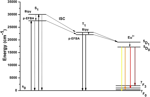 figure 8