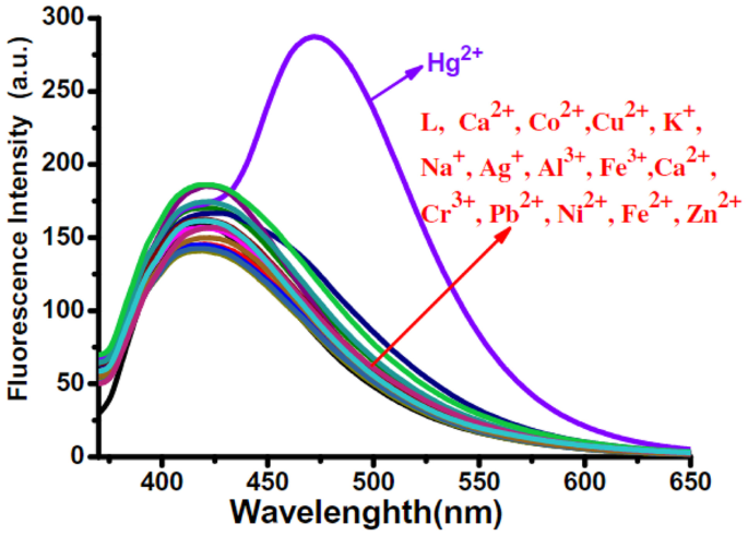 figure 24