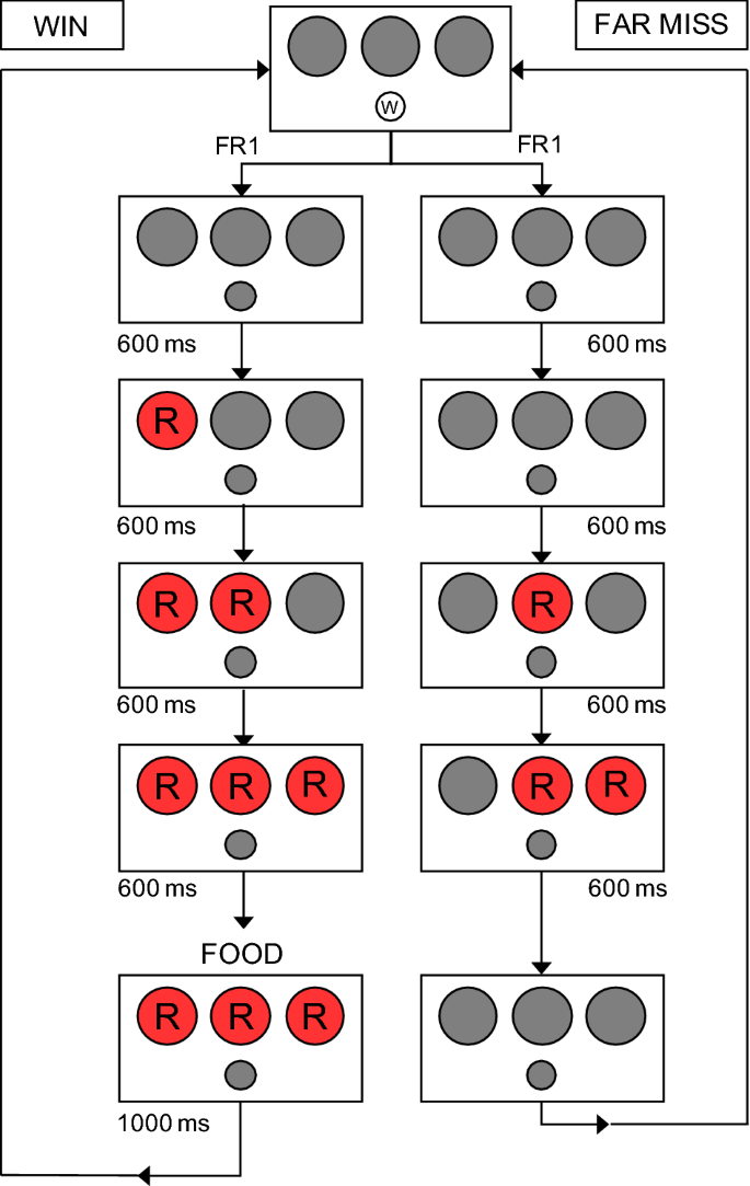 Letter box slot sound effect free download Letter box slot sound effect free download