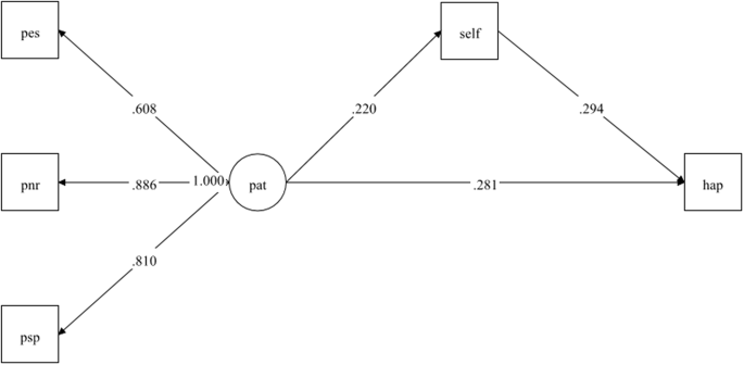 Optimistically Accepting Suffering Boosts Happiness Associations Between Buddhism Patience Selflessness And Subjective Authentic Durable Happiness Springerlink Optimistically Accepting Suffering Boosts Happiness Associations Between Buddhism Patience Selflessness And Subjective Authentic Durable Happiness Springerlink