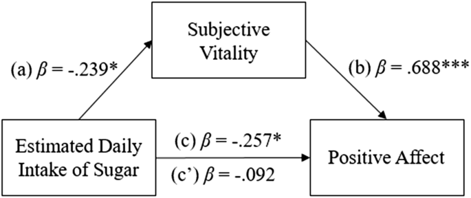 Vitality As A Mediator Between Diet Quality And Subjective Wellbeing Among College Students Springerlink
